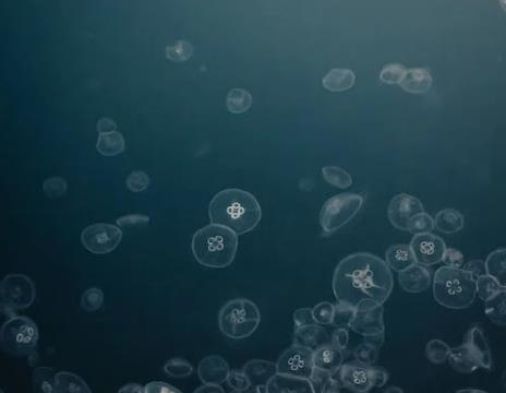 水質監測.jpg